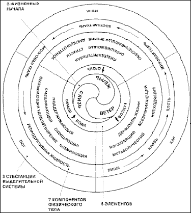 Согласно философии Вед, которая является основой Аюрведы, наш мир состоит из 49-ти первоэлементов